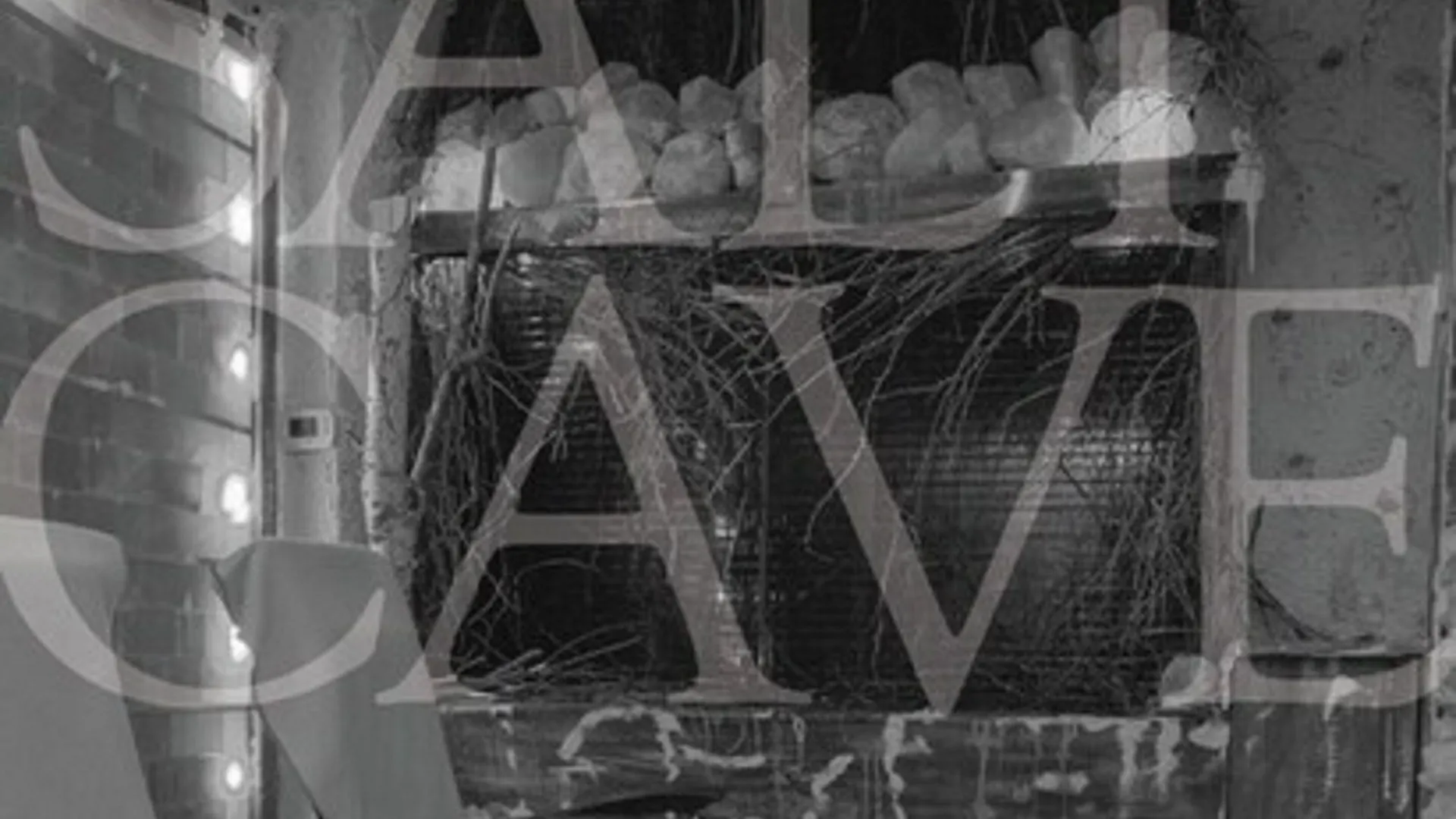 Windsor Arms Hotel Toronto